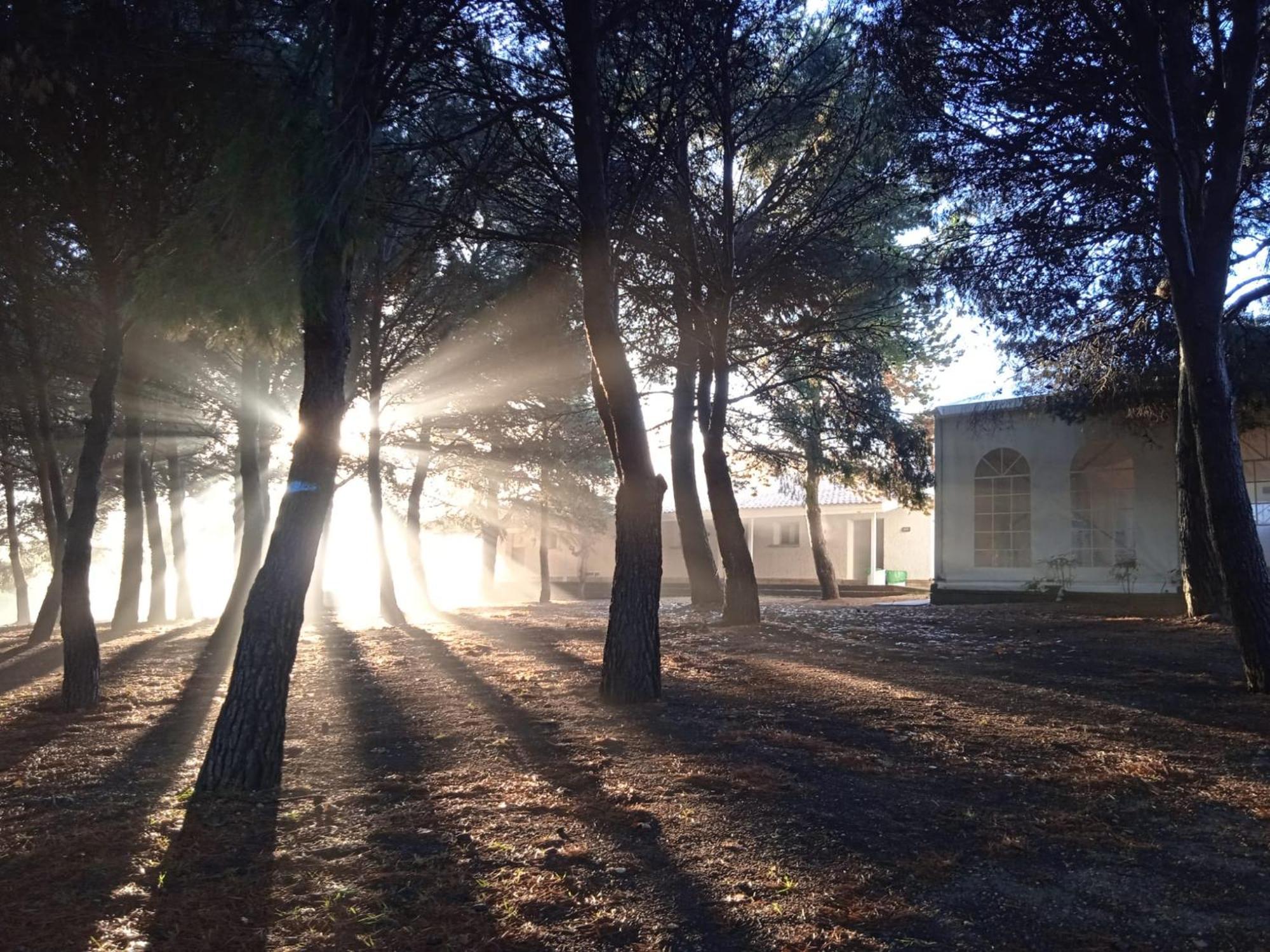 Albergue Zaragoza Camping Exterior photo
